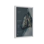 Silent Organs – Lungs Wall Art | Luxury Anatomical Canvas Print | Museum-Inspired Fine Art