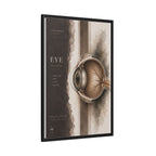 Silent Organs – Eye Wall Art | Luxury Anatomical Canvas Print | Museum-Inspired Fine Art