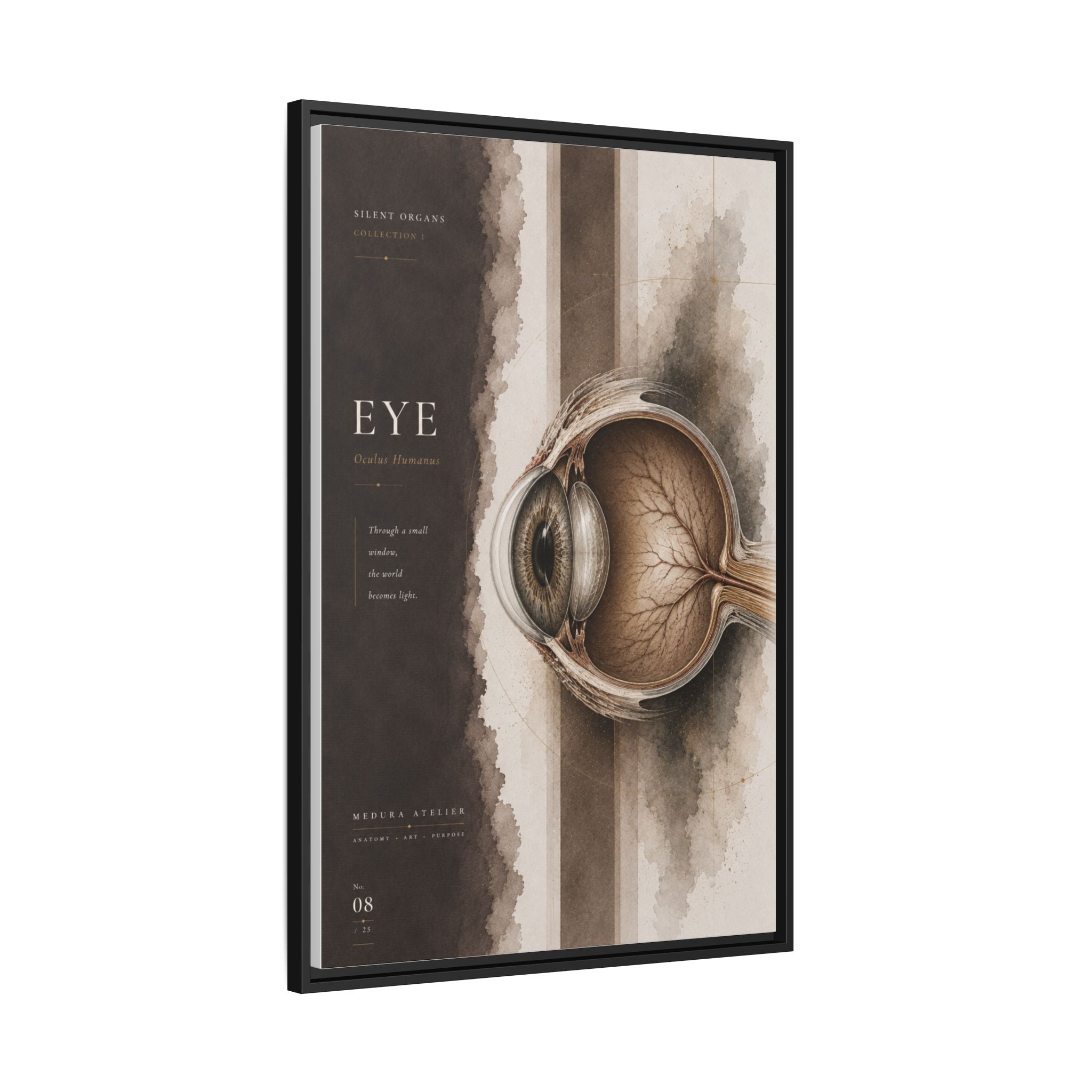 Silent Organs – Eye Wall Art | Luxury Anatomical Canvas Print | Museum-Inspired Fine Art