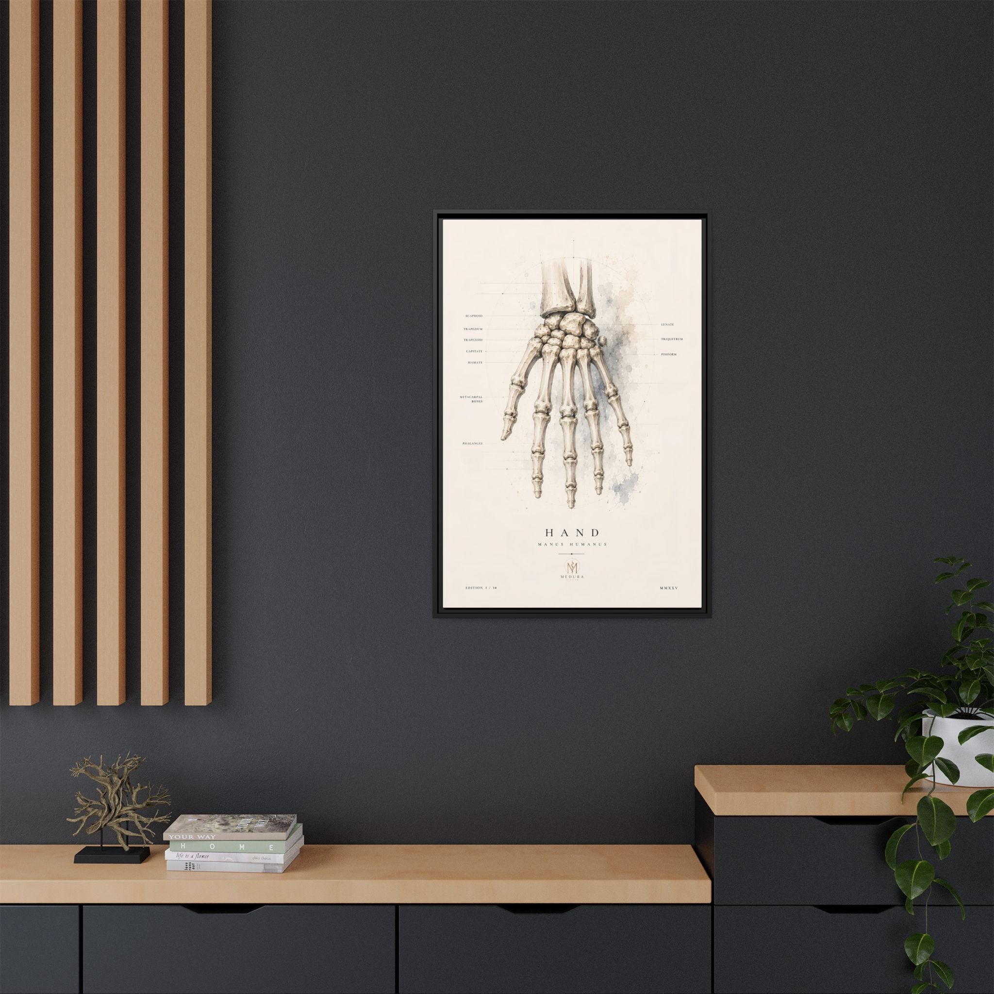 Anatomical Hand Skeleton Wall Art | Luxury Orthopaedic Canvas Print | Museum-Inspired Fine Art