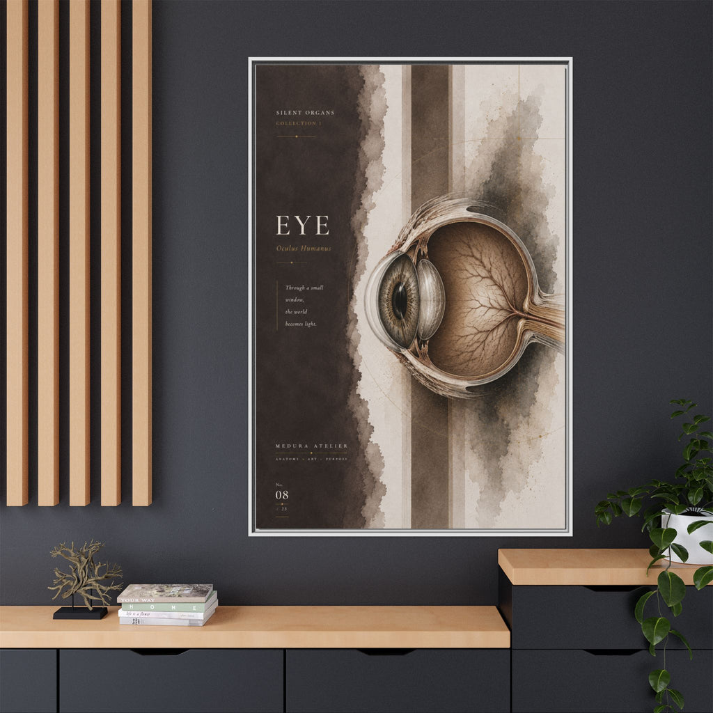 Silent Organs – Eye Wall Art | Luxury Anatomical Canvas Print | Museum-Inspired Fine Art