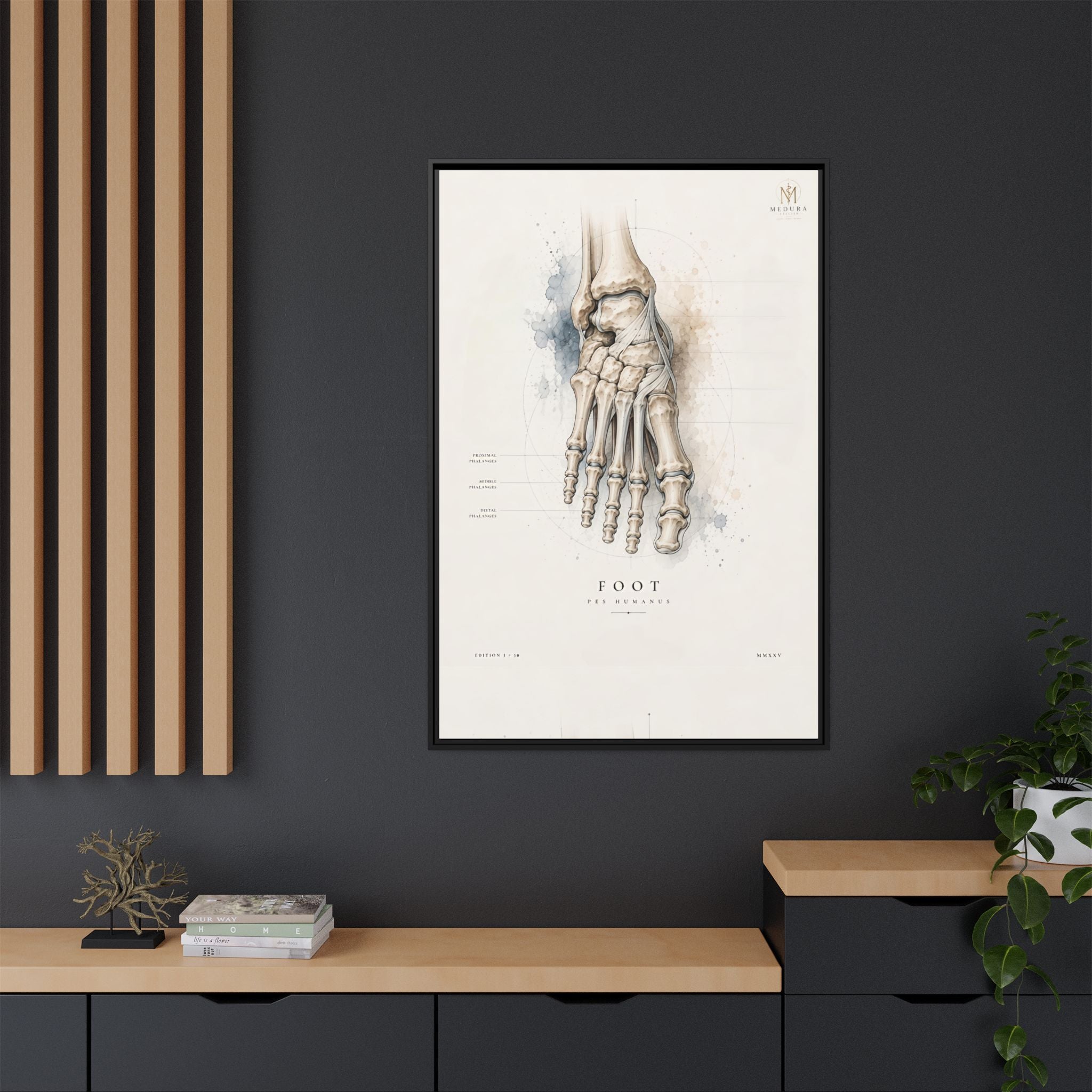 Anatomical Foot Skeleton Wall Art | Luxury Podiatry Canvas Print | Museum-Inspired Fine Art