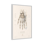 Anatomical Hand Skeleton Wall Art | Luxury Orthopaedic Canvas Print | Museum-Inspired Fine Art