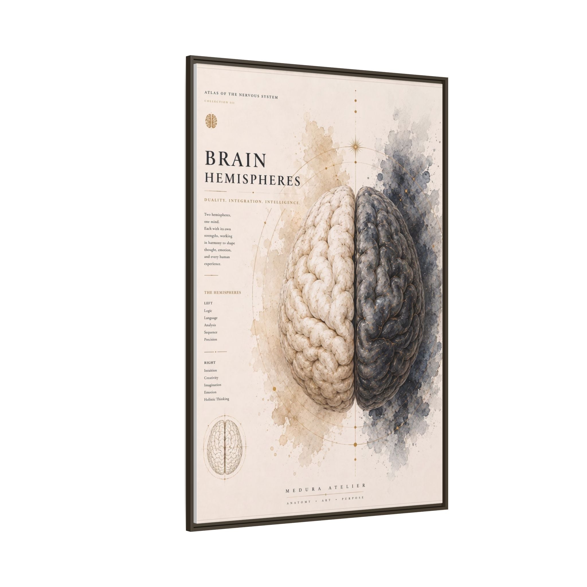 Brain Hemispheres Wall Art | Luxury Neuroscience Canvas Print | Museum-Inspired Fine Art