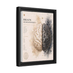 Brain Hemispheres Wall Art | Luxury Neuroscience Canvas Print | Museum-Inspired Fine Art