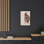 Silent Organs – Hippocampus Wall Art | Luxury Neuroscience Canvas Print | Museum-Inspired Fine Art
