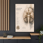 White Matter Brain Wall Art | Luxury Neuroscience Canvas Print | Museum-Inspired Fine Art