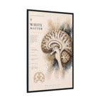 White Matter Brain Wall Art | Luxury Neuroscience Canvas Print | Museum-Inspired Fine Art