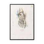 Anatomical Foot Skeleton Wall Art | Luxury Podiatry Canvas Print | Museum-Inspired Fine Art