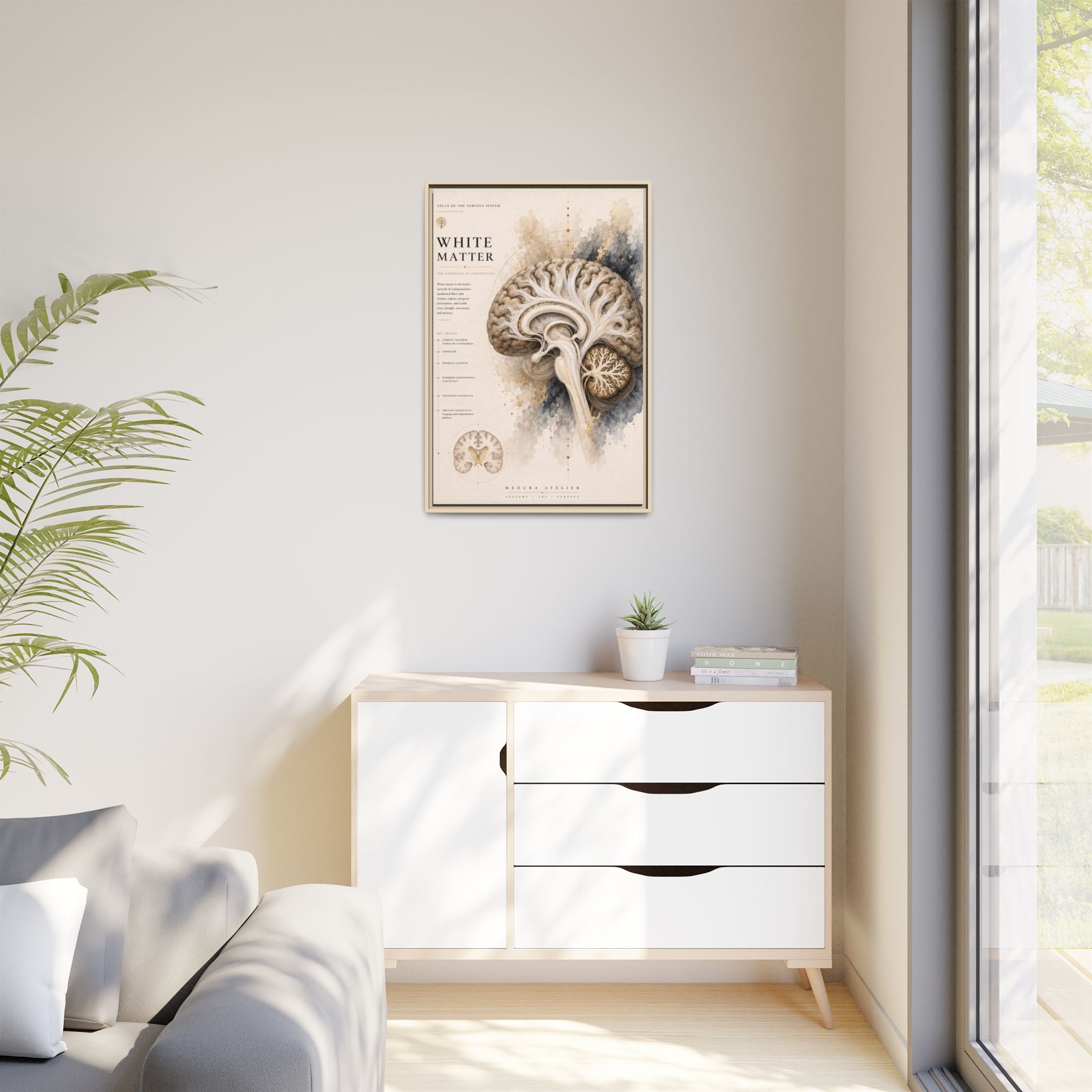 White Matter Brain Wall Art | Luxury Neuroscience Canvas Print | Museum-Inspired Fine Art