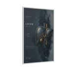 Silent Organs – Liver Wall Art | Luxury Anatomical Canvas Print | Museum-Inspired Fine Art
