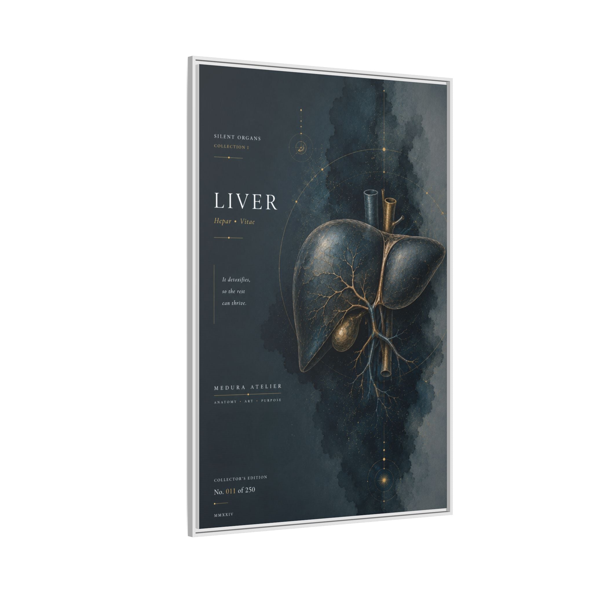 Silent Organs – Liver Wall Art | Luxury Anatomical Canvas Print | Museum-Inspired Fine Art