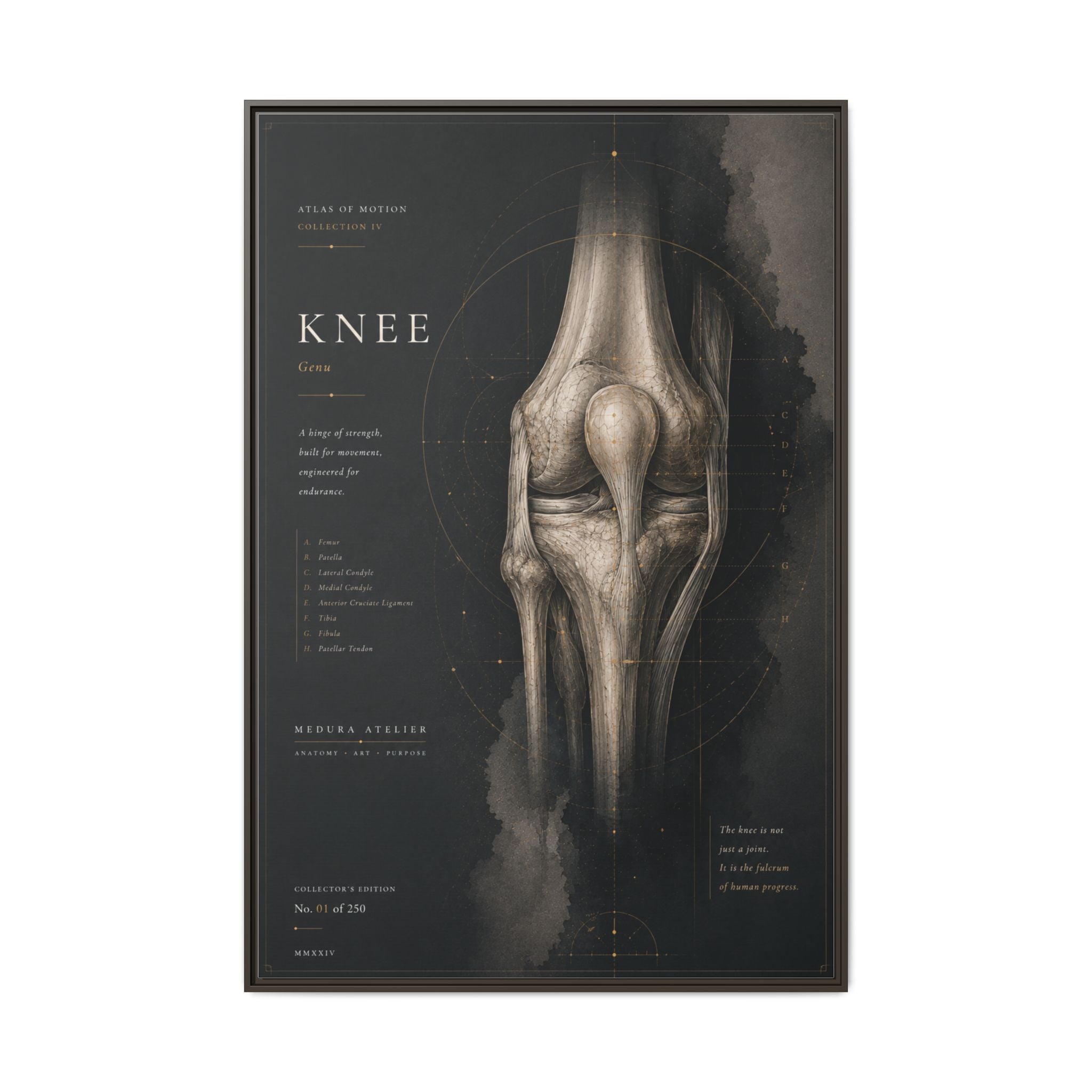 Atlas of Motion – Knee Wall Art | Luxury Orthopedic Canvas Print | Museum-Inspired Fine Art