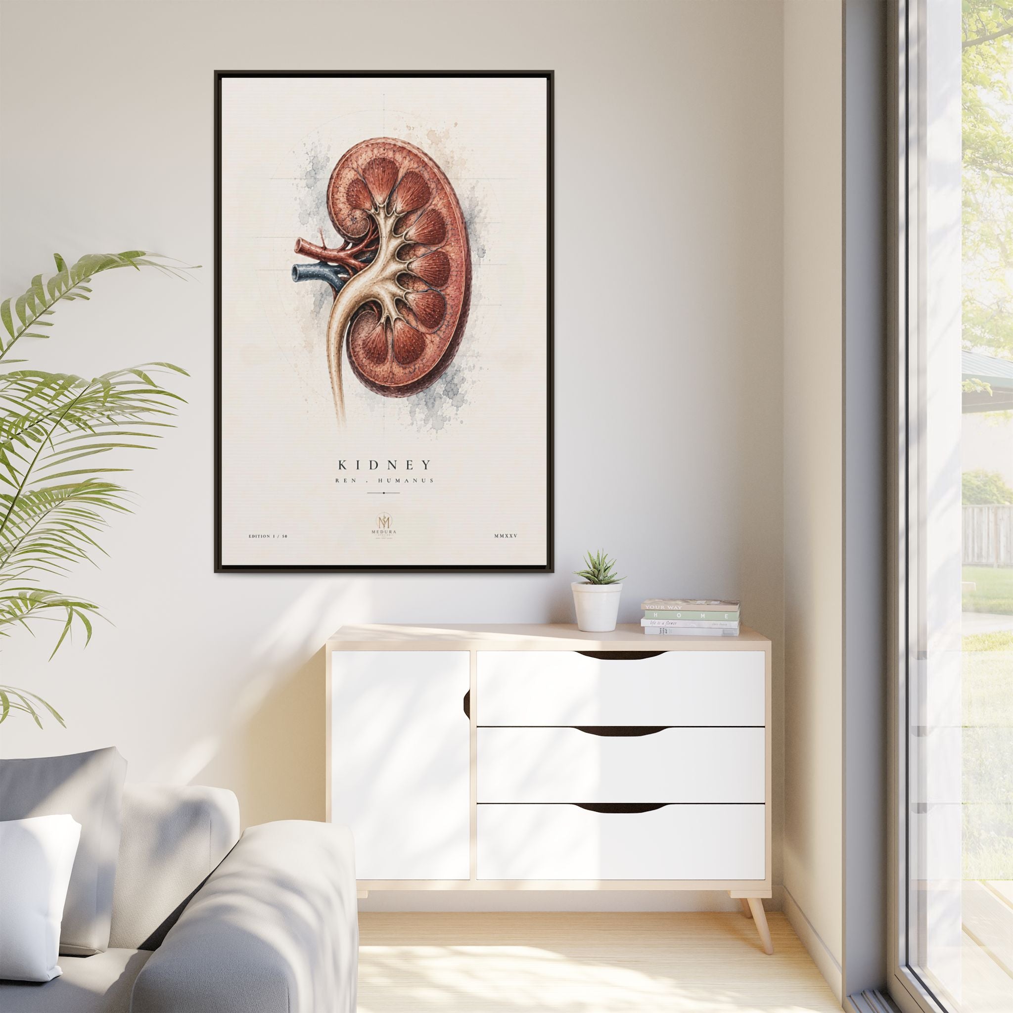 Anatomical Kidney Wall Art | Luxury Nephrology Canvas Print | Museum-Inspired Fine Art