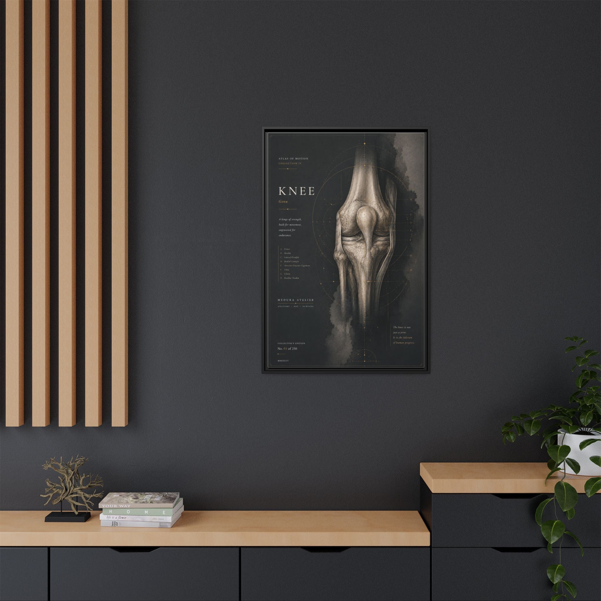 Atlas of Motion – Knee Wall Art | Luxury Orthopedic Canvas Print | Museum-Inspired Fine Art