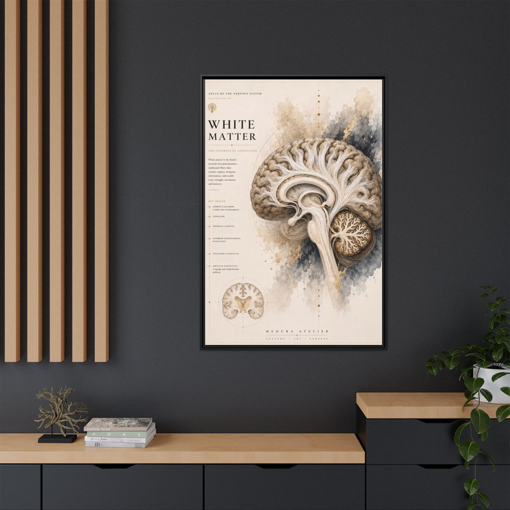 White Matter Brain Wall Art | Luxury Neuroscience Canvas Print | Museum-Inspired Fine Art