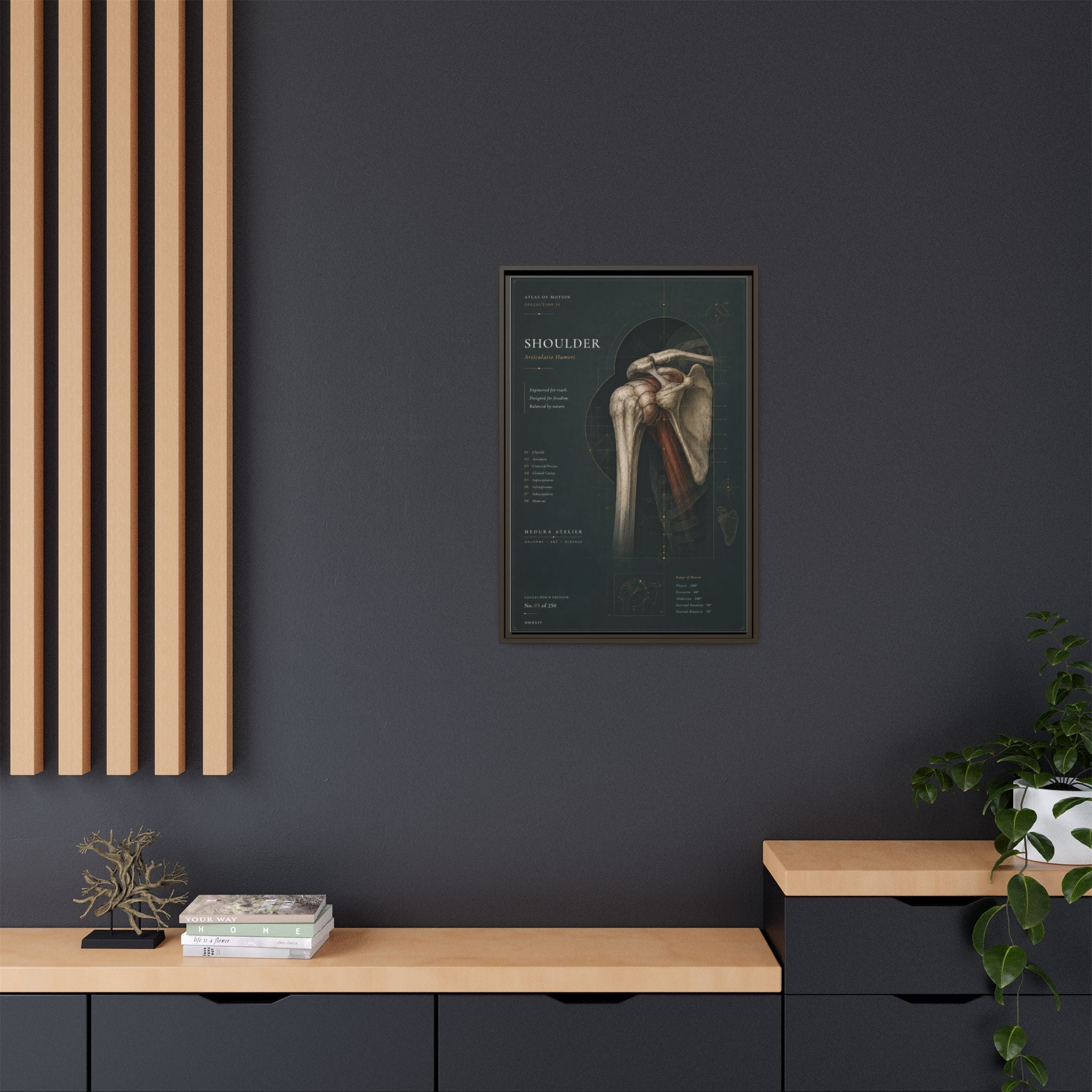 Copy of Atlas of Motion – Knee Wall Art | Luxury Orthopedic Canvas Print | Museum-Inspired Fine Art