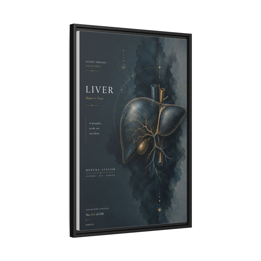 Silent Organs – Liver Wall Art | Luxury Anatomical Canvas Print | Museum-Inspired Fine Art