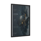 Silent Organs – Liver Wall Art | Luxury Anatomical Canvas Print | Museum-Inspired Fine Art