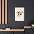 Anatomical Skull Wall Art | Luxury Medical Canvas Print | Museum-Inspired Fine Art