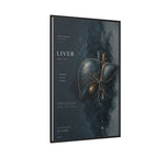 Silent Organs – Liver Wall Art | Luxury Anatomical Canvas Print | Museum-Inspired Fine Art