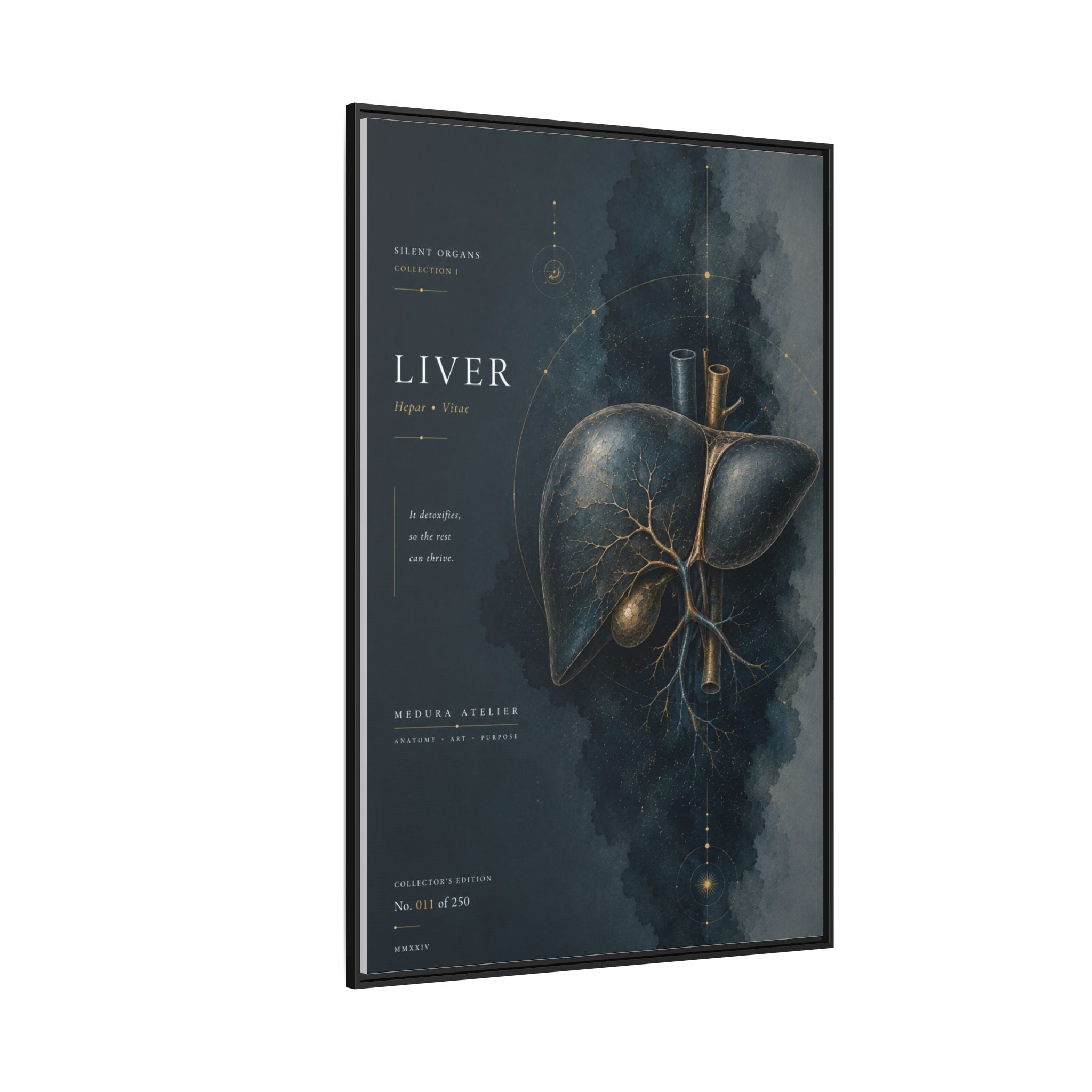 Silent Organs – Liver Wall Art | Luxury Anatomical Canvas Print | Museum-Inspired Fine Art