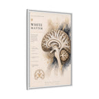 White Matter Brain Wall Art | Luxury Neuroscience Canvas Print | Museum-Inspired Fine Art