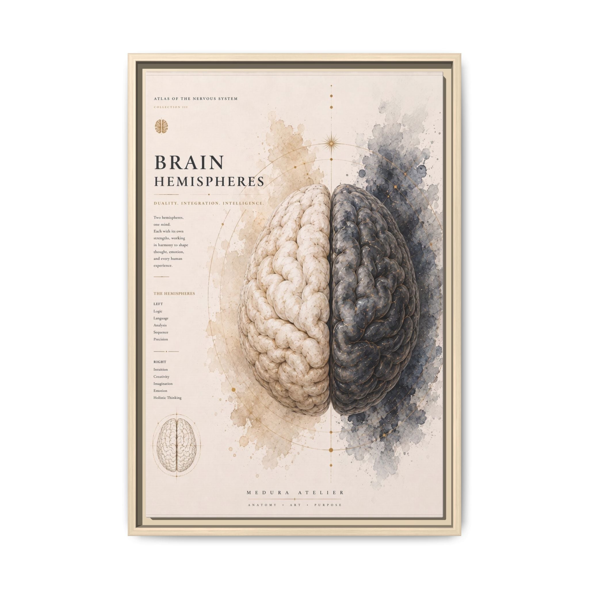 Brain Hemispheres Wall Art | Luxury Neuroscience Canvas Print | Museum-Inspired Fine Art