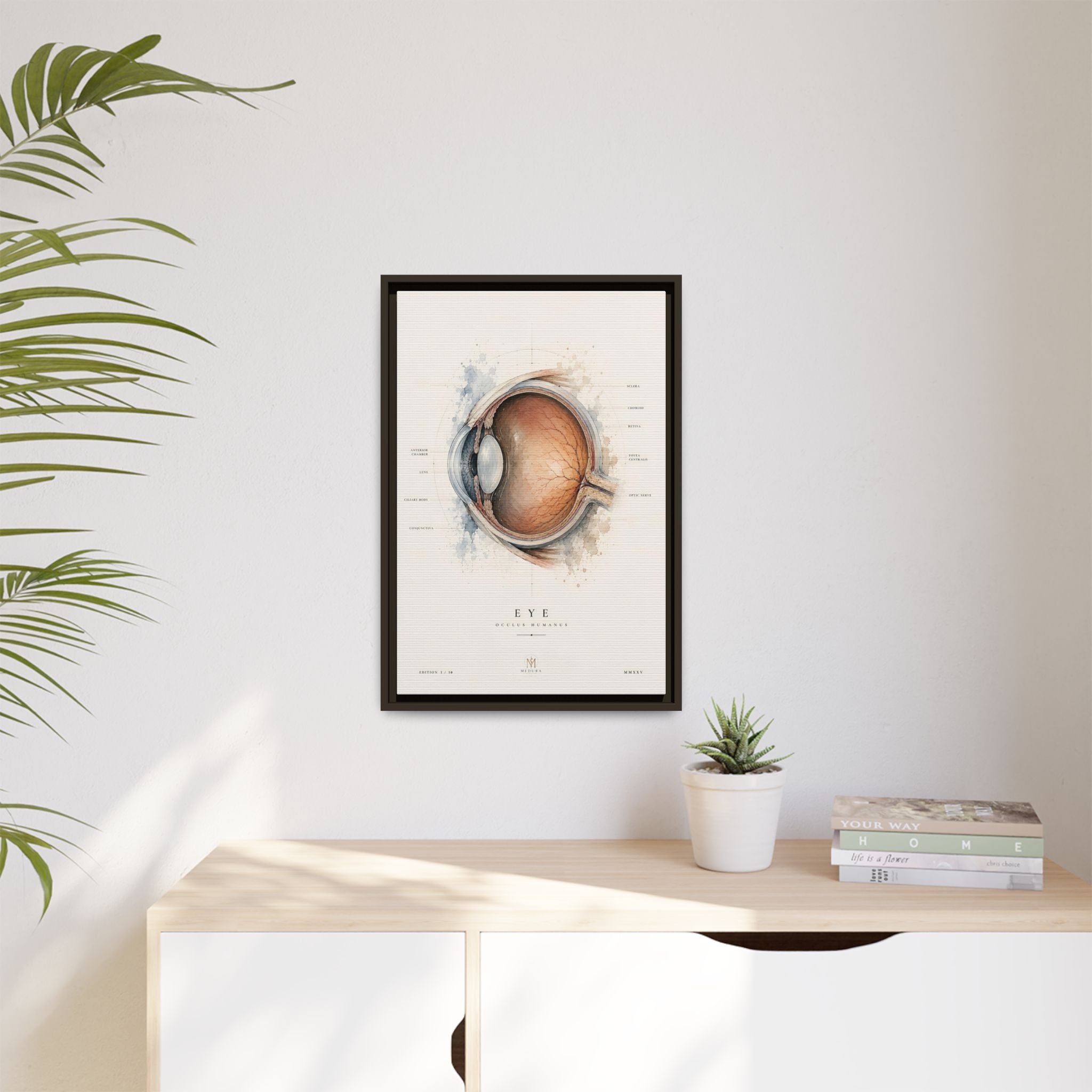 Anatomical Eye Canvas Print | Luxury Ophthalmology Wall Art | Museum-Inspired Medical Decor