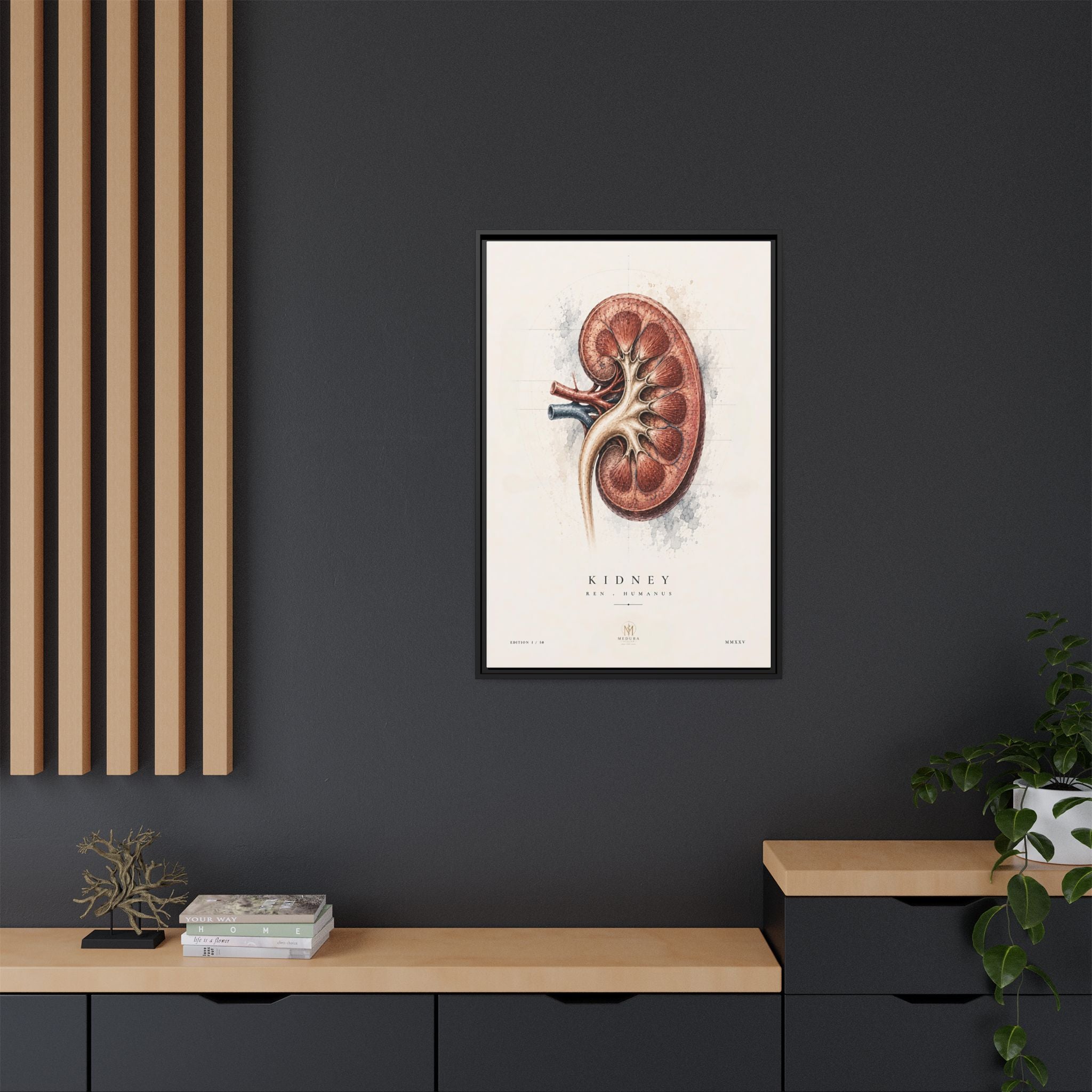 Anatomical Kidney Wall Art | Luxury Nephrology Canvas Print | Museum-Inspired Fine Art