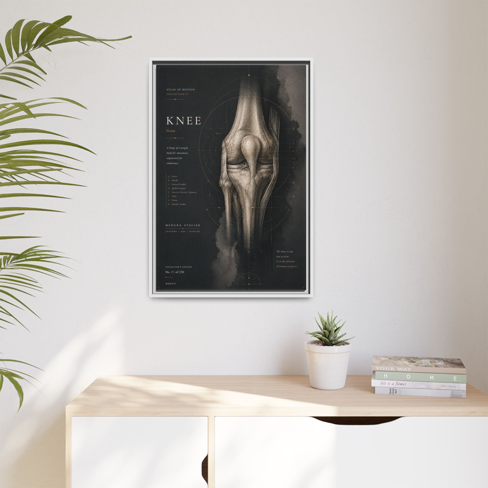 Atlas of Motion – Knee Wall Art | Luxury Orthopedic Canvas Print | Museum-Inspired Fine Art