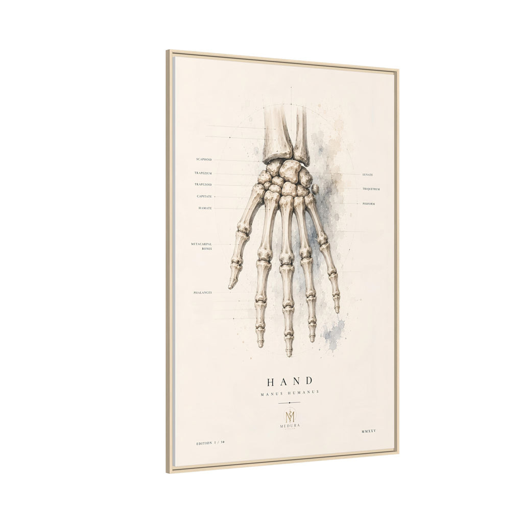 Anatomical Hand Skeleton Wall Art | Luxury Orthopaedic Canvas Print | Museum-Inspired Fine Art