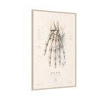 Anatomical Hand Skeleton Wall Art | Luxury Orthopaedic Canvas Print | Museum-Inspired Fine Art
