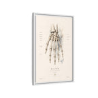 Anatomical Hand Skeleton Wall Art | Luxury Orthopaedic Canvas Print | Museum-Inspired Fine Art