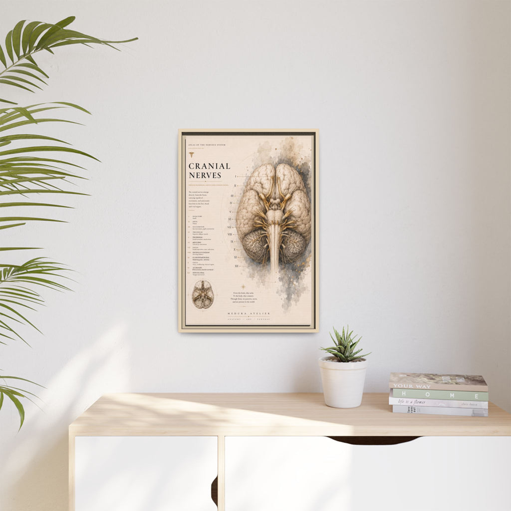 White Matter Brain Wall Art | Luxury Neuroscience Canvas Print | Museum-Inspired Fine Art