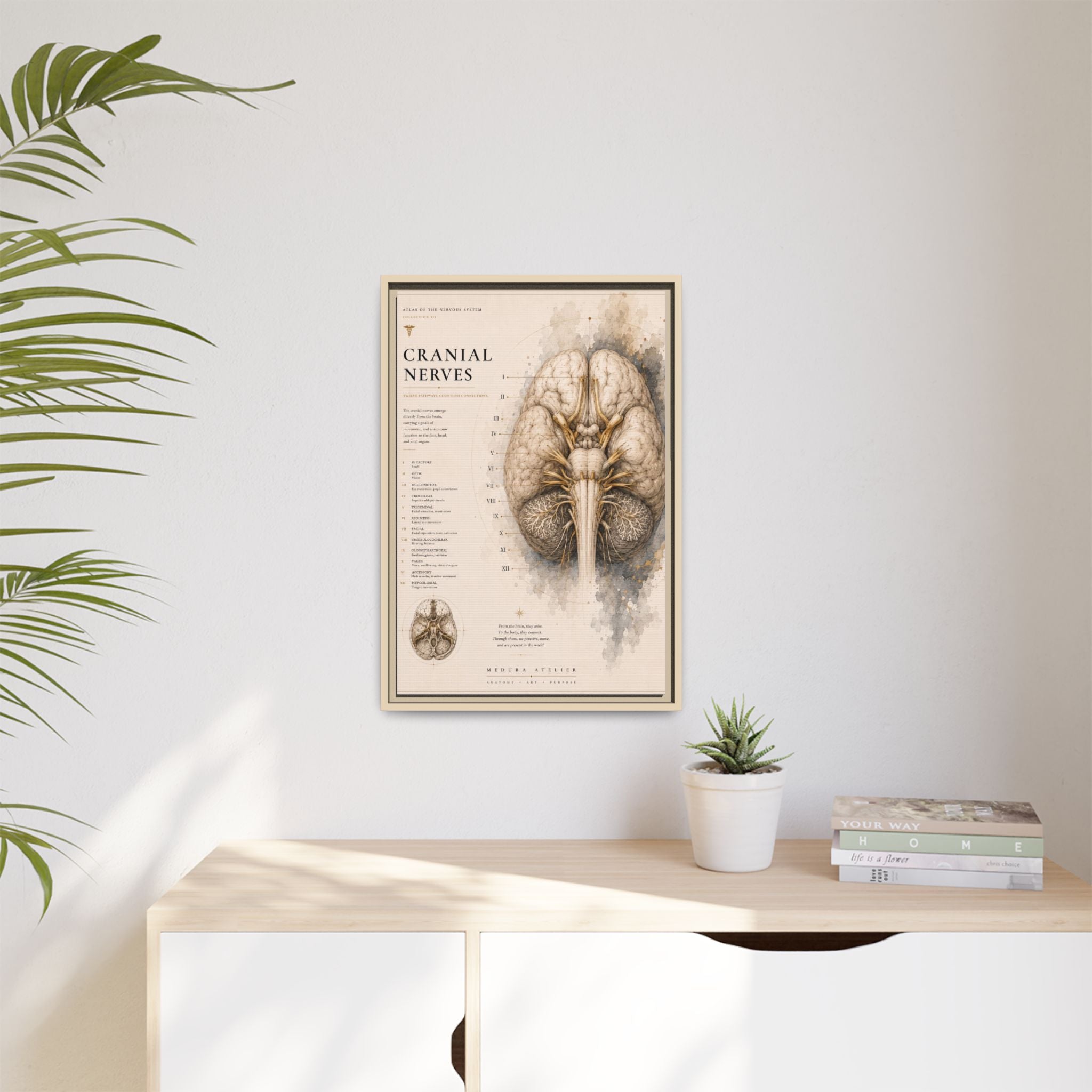 White Matter Brain Wall Art | Luxury Neuroscience Canvas Print | Museum-Inspired Fine Art