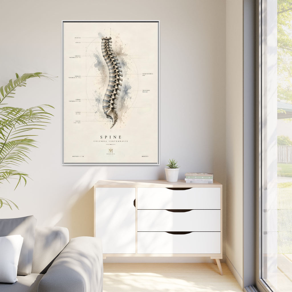 Anatomical Spine Wall Art | Luxury Vertebral Column Canvas Print | Museum-Inspired Fine Art
