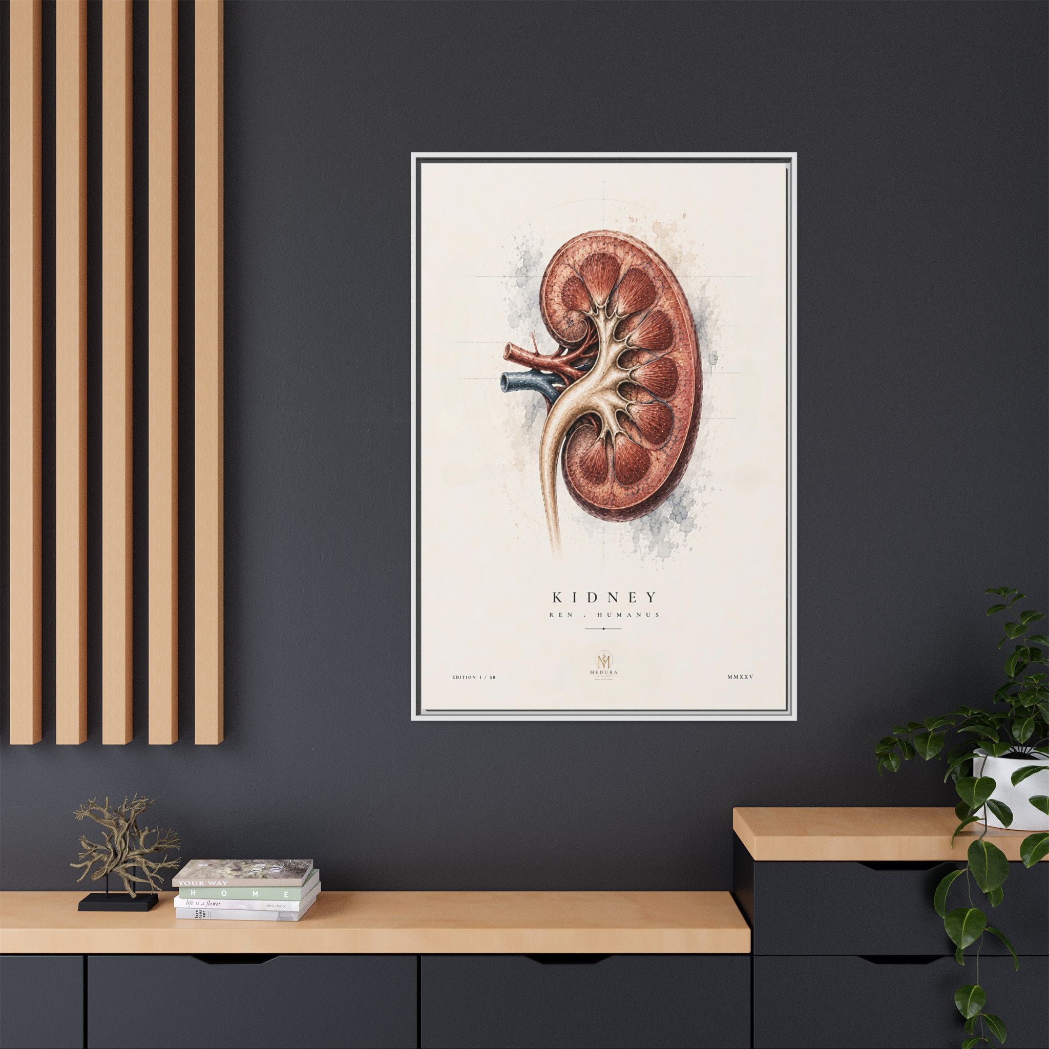 Anatomical Kidney Wall Art | Luxury Nephrology Canvas Print | Museum-Inspired Fine Art