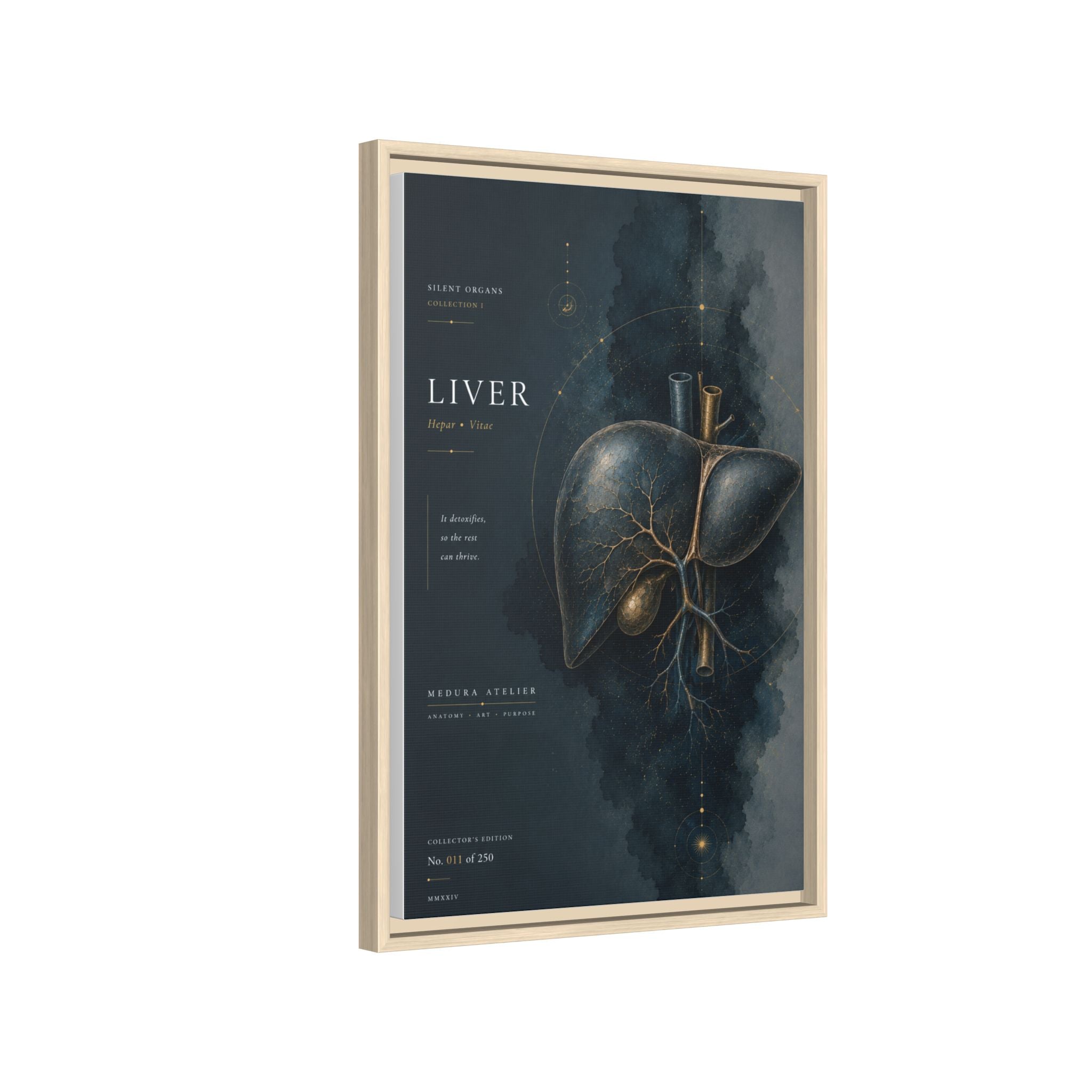 Silent Organs – Liver Wall Art | Luxury Anatomical Canvas Print | Museum-Inspired Fine Art