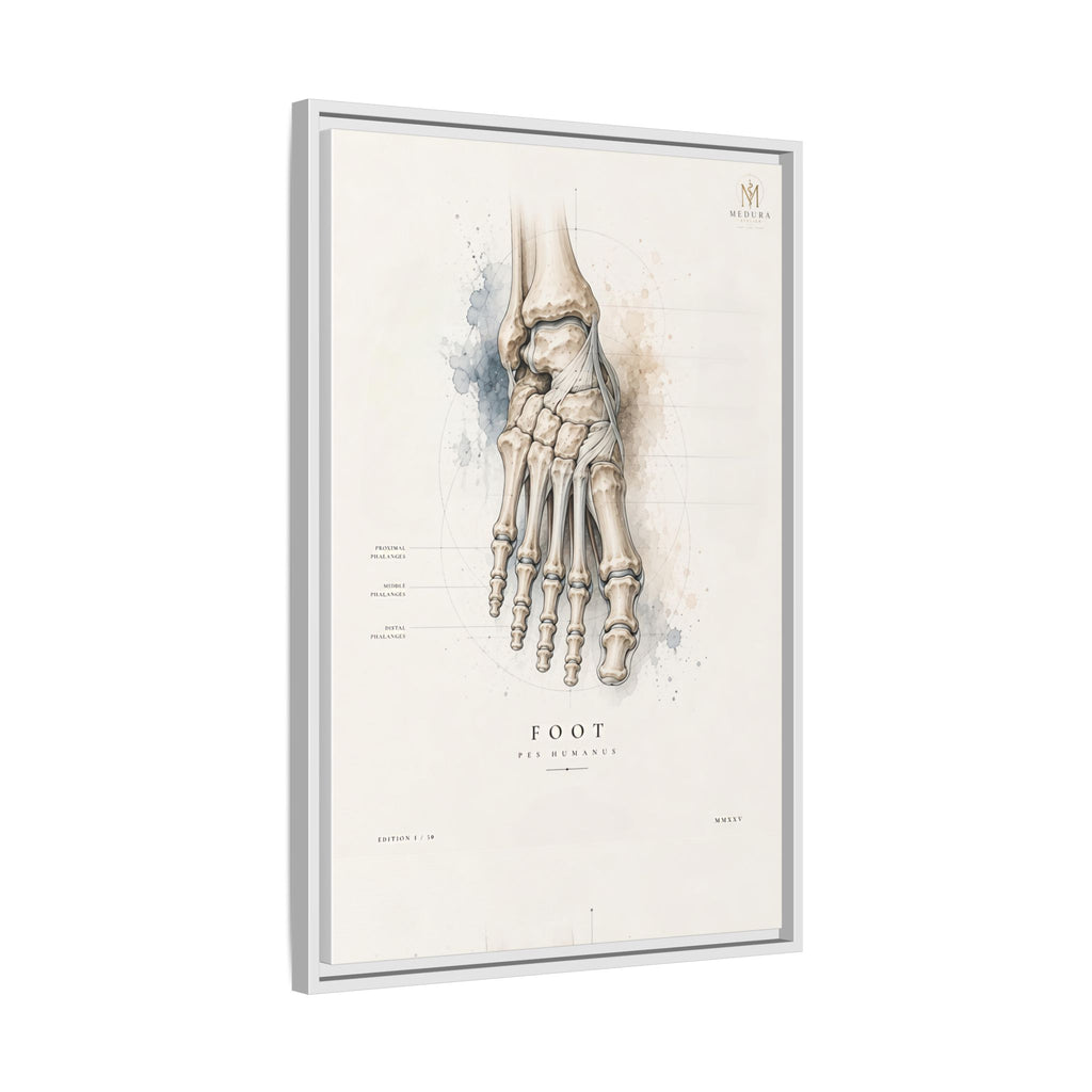 Anatomical Foot Skeleton Wall Art | Luxury Podiatry Canvas Print | Museum-Inspired Fine Art