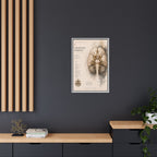 White Matter Brain Wall Art | Luxury Neuroscience Canvas Print | Museum-Inspired Fine Art