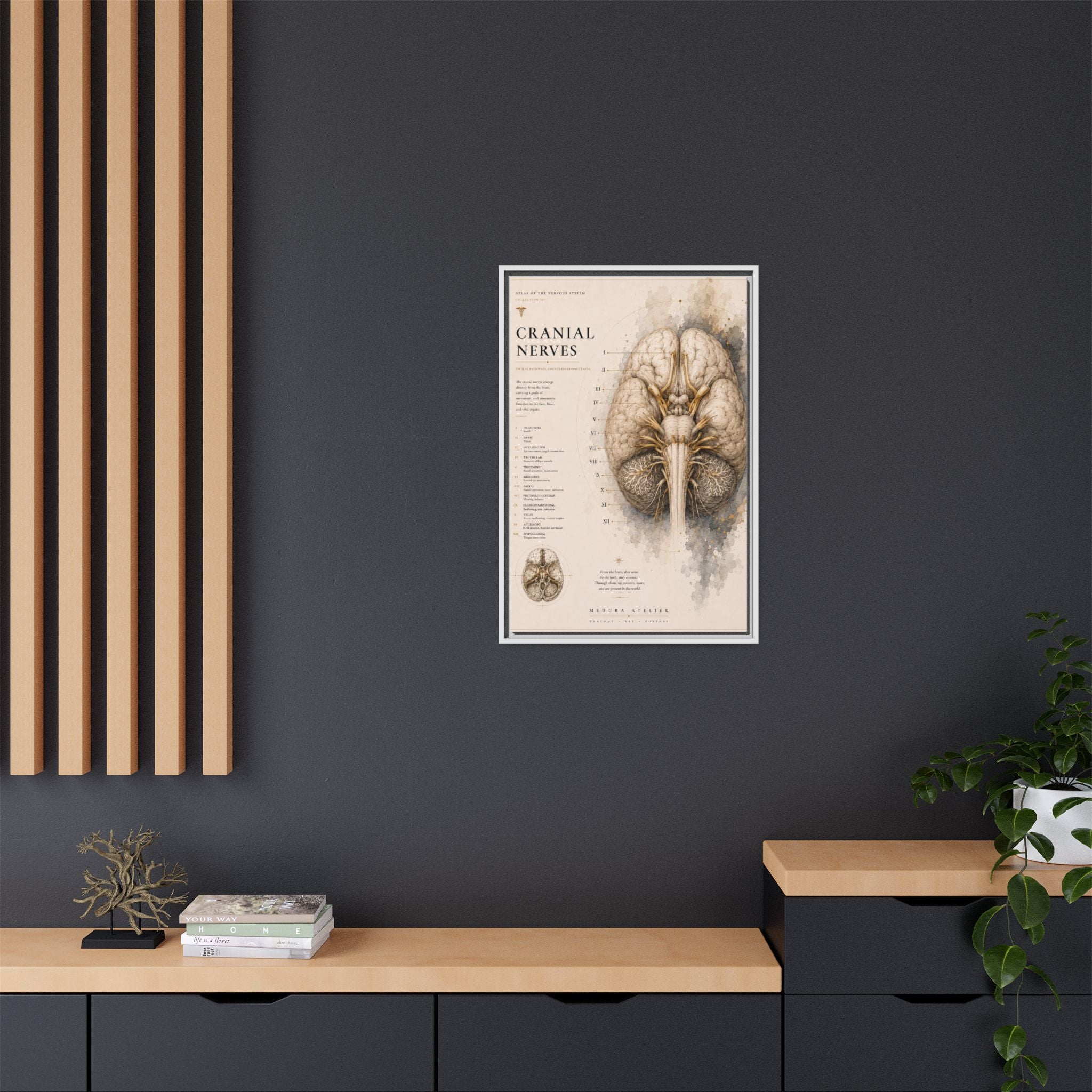 White Matter Brain Wall Art | Luxury Neuroscience Canvas Print | Museum-Inspired Fine Art