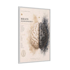 Brain Hemispheres Wall Art | Luxury Neuroscience Canvas Print | Museum-Inspired Fine Art