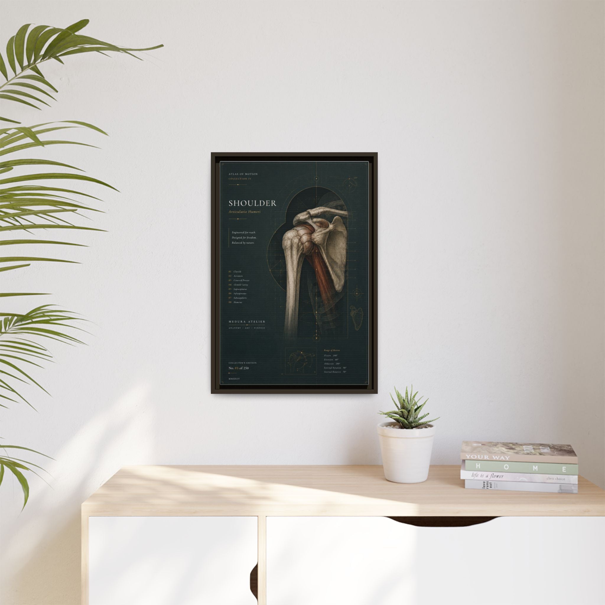Copy of Atlas of Motion – Knee Wall Art | Luxury Orthopedic Canvas Print | Museum-Inspired Fine Art