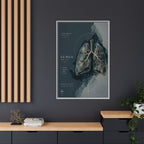 Silent Organs – Lungs Wall Art | Luxury Anatomical Canvas Print | Museum-Inspired Fine Art