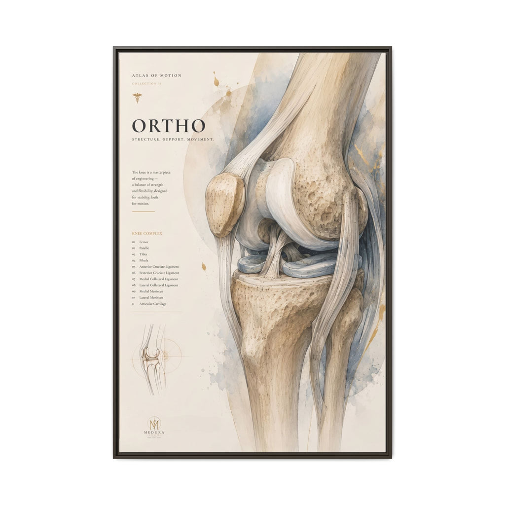 Orthopaedic Knee Anatomy Wall Art | Luxury Orthopedic Canvas Print | Museum-Inspired Fine Art