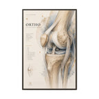 Orthopaedic Knee Anatomy Wall Art | Luxury Orthopedic Canvas Print | Museum-Inspired Fine Art