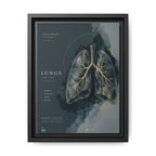 Silent Organs – Lungs Wall Art | Luxury Anatomical Canvas Print | Museum-Inspired Fine Art