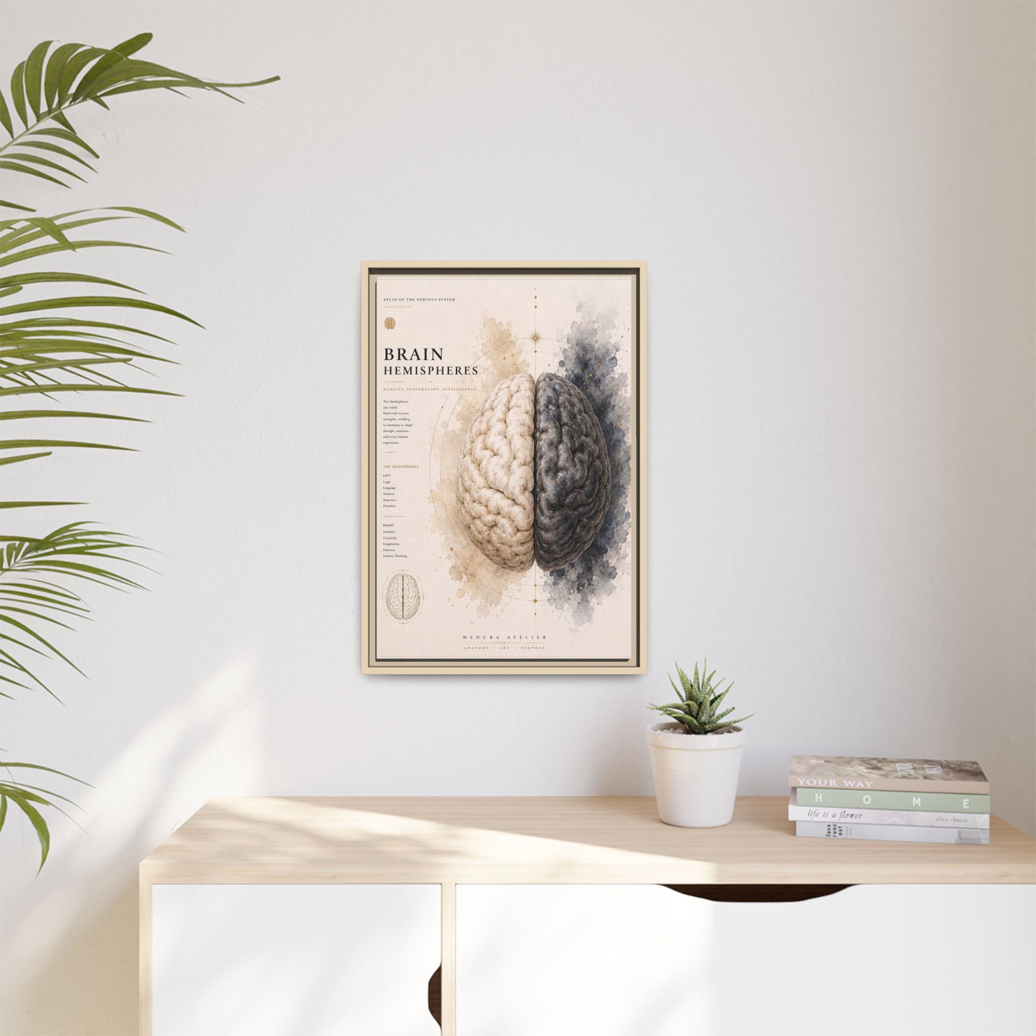 Brain Hemispheres Wall Art | Luxury Neuroscience Canvas Print | Museum-Inspired Fine Art