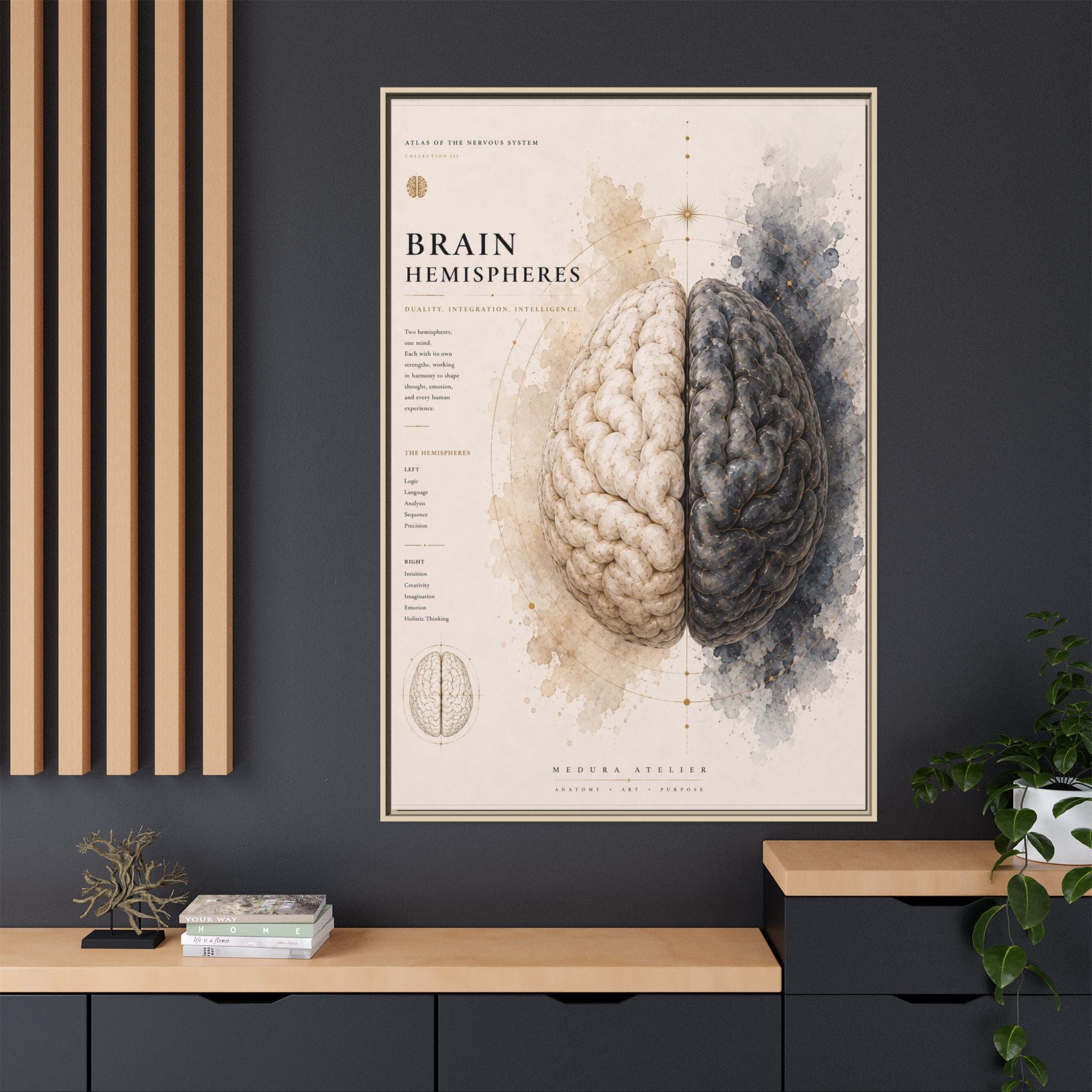 Brain Hemispheres Wall Art | Luxury Neuroscience Canvas Print | Museum-Inspired Fine Art